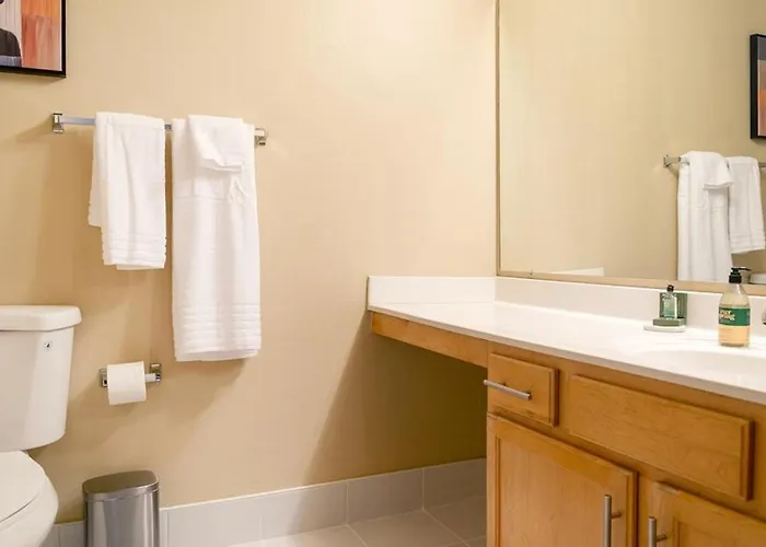 Apartment Landing Modern With Amazing Amenities Tucson